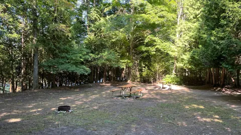Timber Trail - Unserviced Site — image 6 of 6