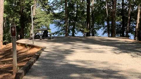 30 AMP Savannah River Interior Campsite — image 14 of 14