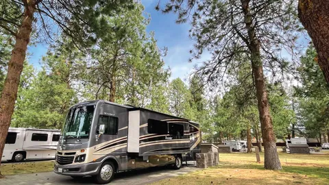 Gold Full Hookup RV Site — image 6 of 6