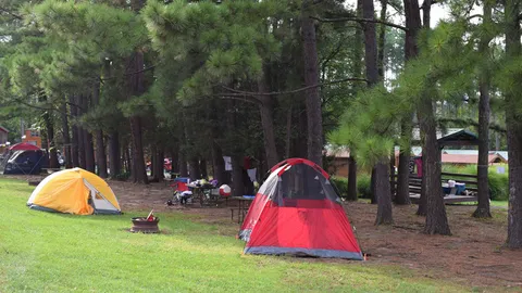 Primitive Tent Site — image 2 of 5