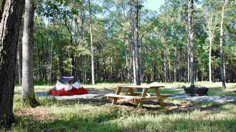 Tent Site (Large) — image 1 of 6