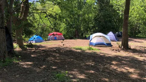 Group Tent Site — image 1 of 1