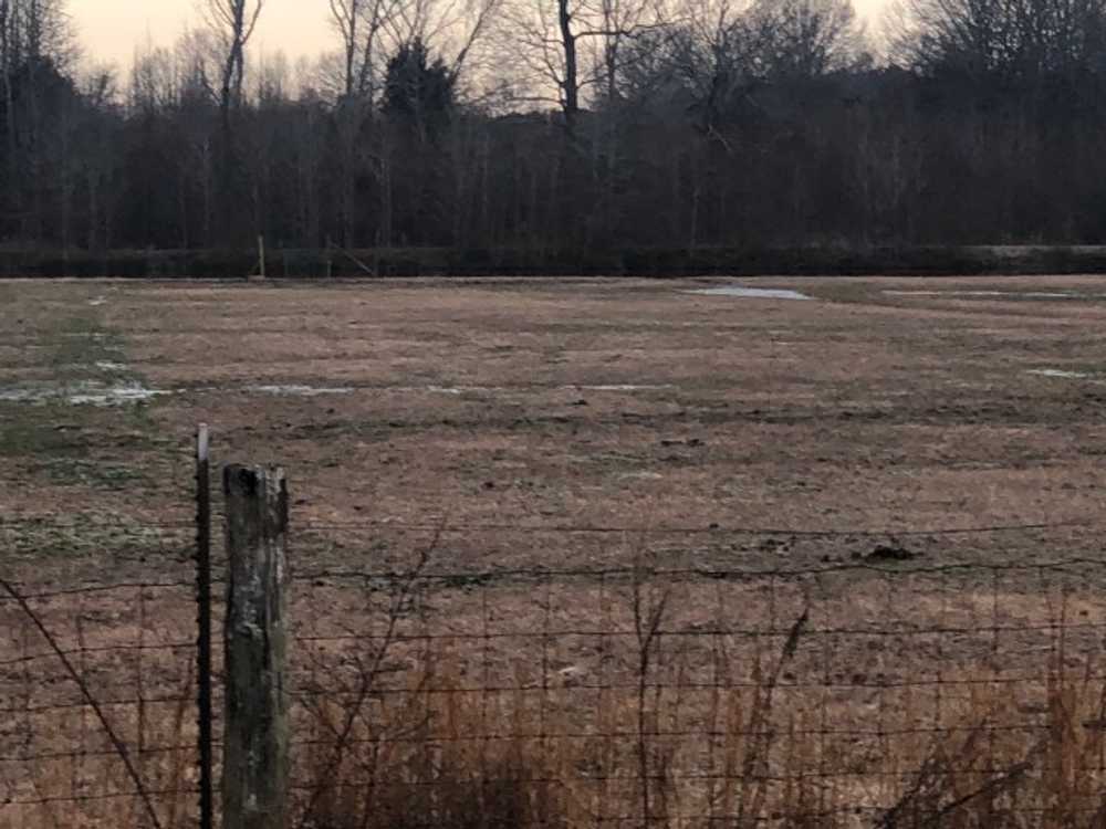 Plato's Branch RV Park - Photo 3