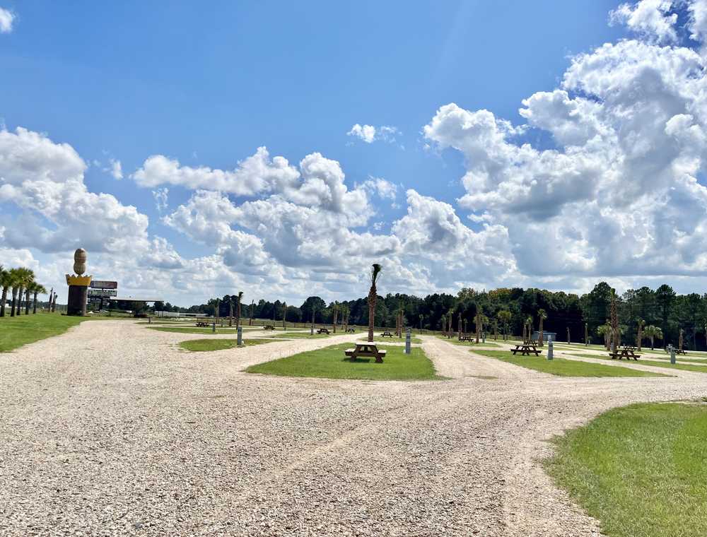 Georgia Peanut RV Park, Ashburn, Georgia - Photo 3
