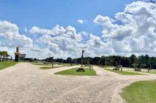 Georgia Peanut RV Park – photo 3