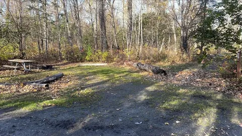 Primitive Site — image 1 of 8