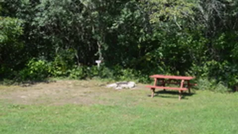 Field Tent Site — image 2 of 5
