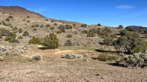 Nightly-Dry Camping -Tent or RV (Limited Availability)-(No Hookups)-(Back-in Style) — image 1 of 5
