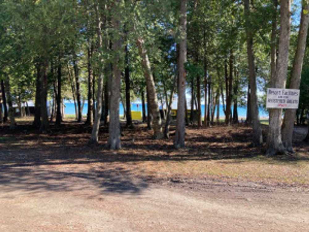 Park Image 5