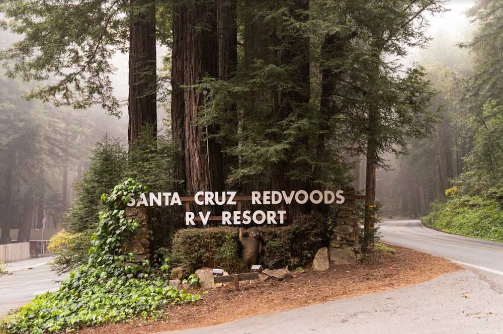 Santa Cruz Redwoods RV Resort Felton California Campspot