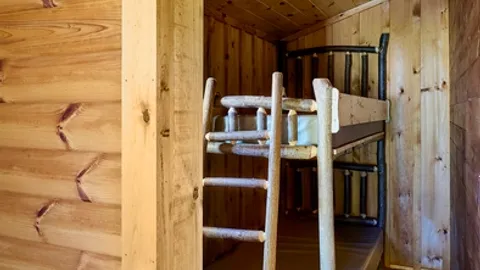 Log Cabin Purple — image 4 of 4