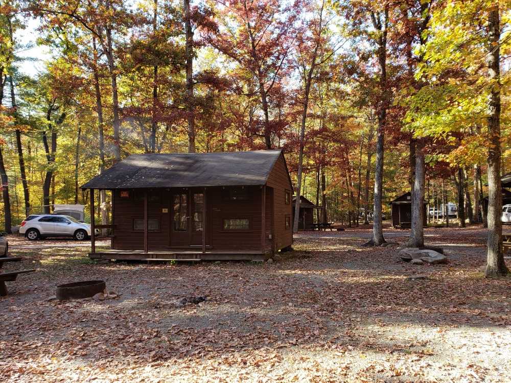 Large Cabin