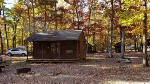 Large Cabin — image 1 of 3