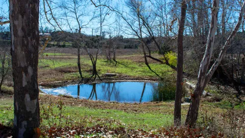 Premium Pond View Full Hookup Back-In RV — image 2 of 3