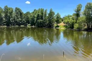 Tyler RV Park – photo 4