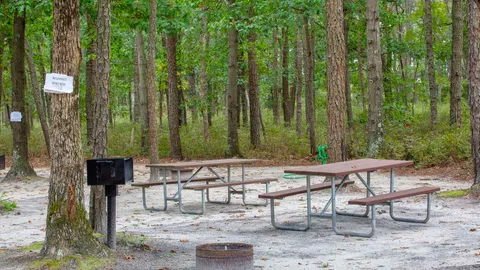 Tent Site — image 2 of 2