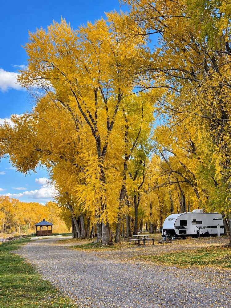 Woods and River RV Park, Del Norte, Colorado - Photo 4