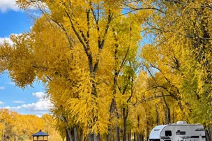 Woods and River RV Park – photo 4