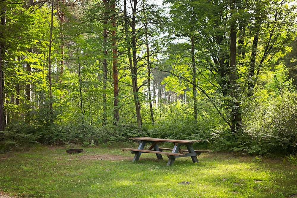 Riverside Park Campground, Evart, Michigan - Photo 4