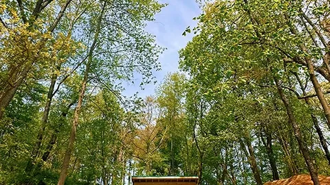Owens Loop / Covered Tent Site — image 1 of 3