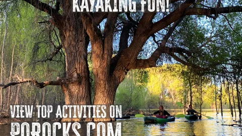 Daily Premium RV Site — image 2 of 14