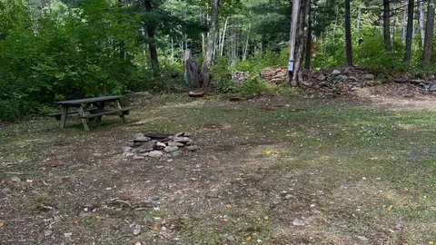 Birches Water + Electric Site — image 2 of 2