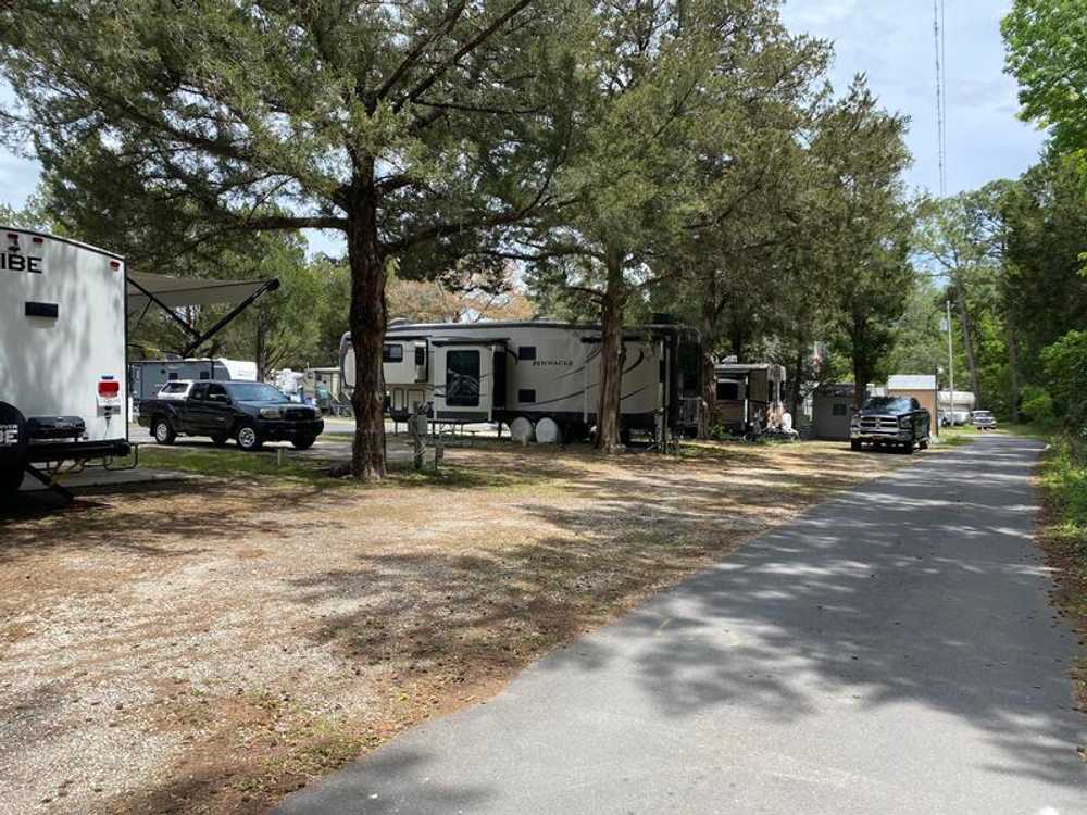 Cedar Breeze RV Park - Photo 3