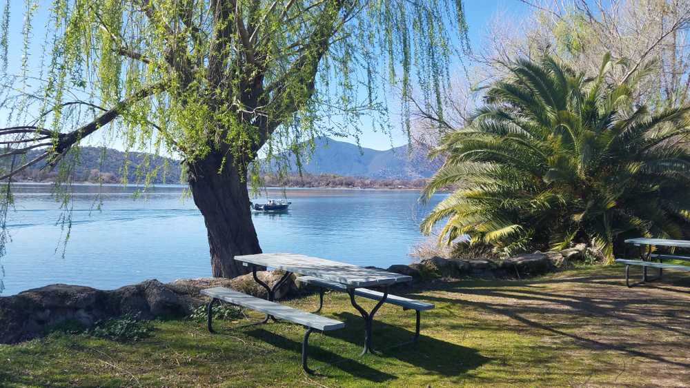 The Oasis Campground, Clearlake Oaks, California - Photo 4
