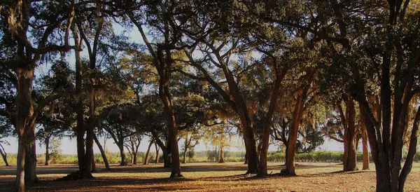 Newell Lodge, Folkston, Georgia campground