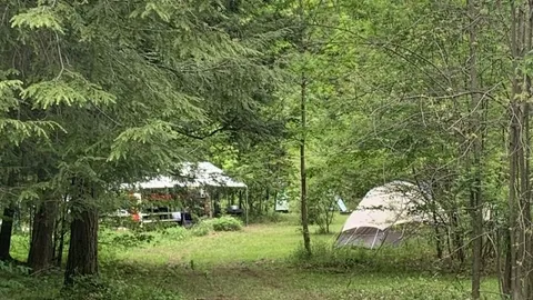 Primitive Tent Site — image 1 of 3