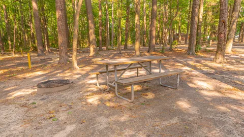 Primitive Tent Site — image 8 of 8