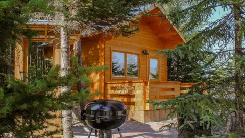 Bunkie — image 1 of 14