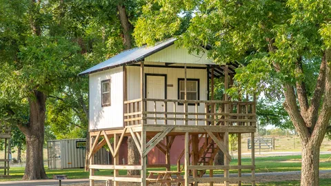 Treehouse — image 1 of 6