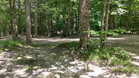 Tent- Wooded — image 4 of 4