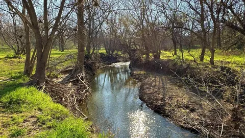 Creekside Tent Site — image 1 of 3