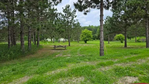 Primitive Tent Site — image 2 of 4