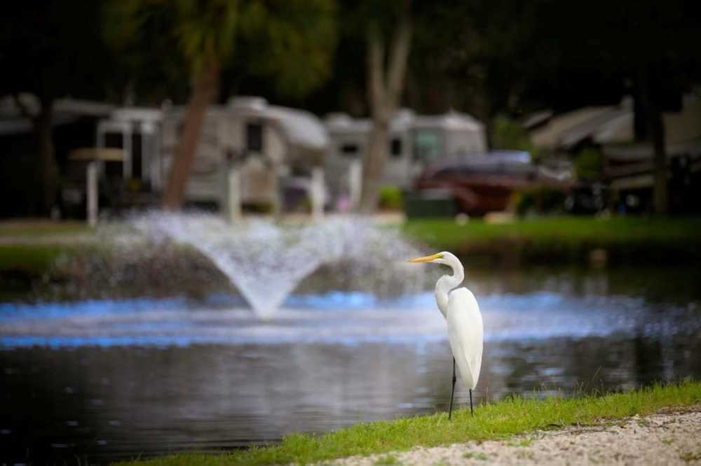 Bay Bayou RV Resort, Tampa, Florida - Photo 2