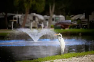 Bay Bayou RV Resort – photo 2