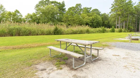 Standard Full Hookup Back-in RV Site — image 9 of 9