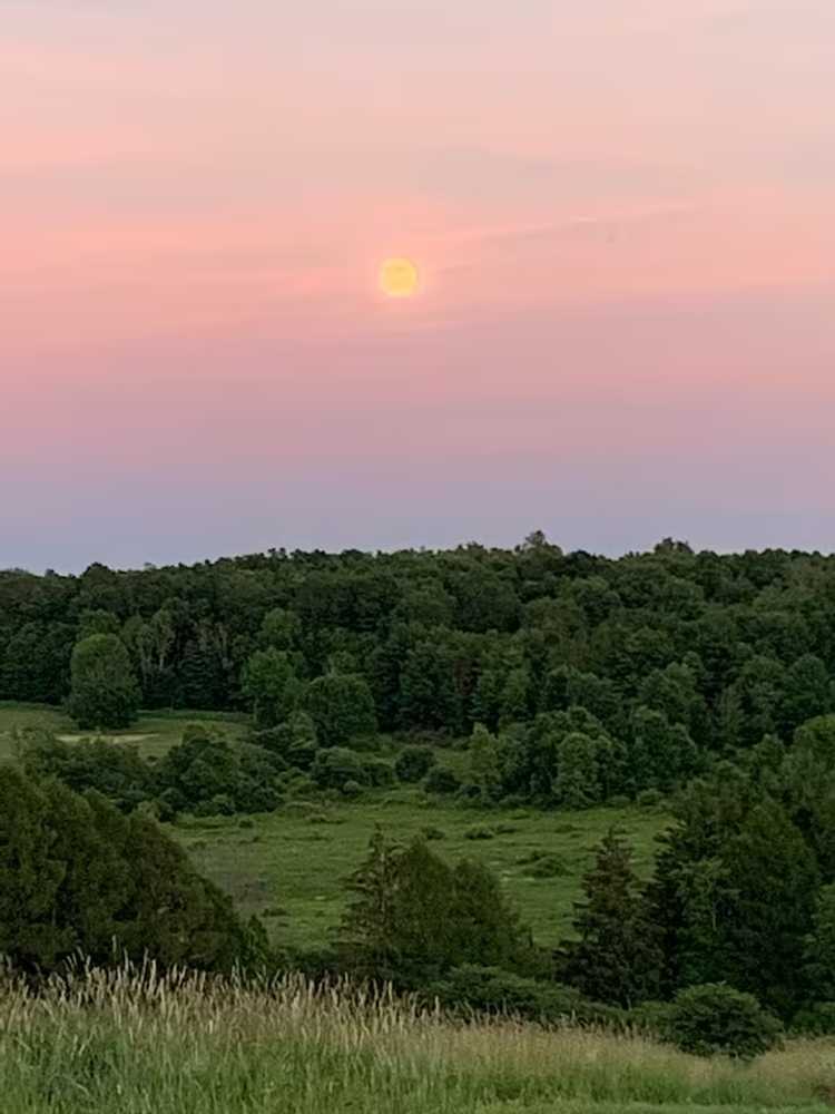 PB Farm Glamping Retreat, LLC, Machias, New York - Photo 4