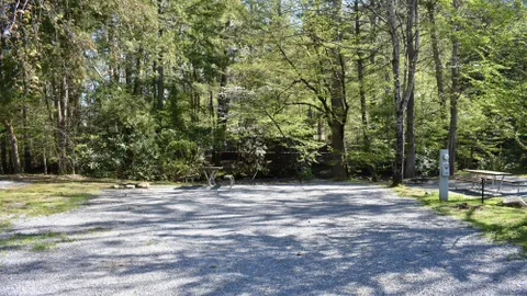 Premium On River Full Hookup RV Site — image 2 of 14