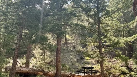 Primitive Tent Site - Single Tent — image 12 of 12