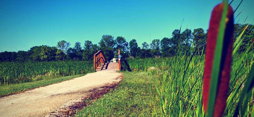 St-Pierre-Jolys RV Campground - Photo 5