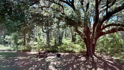 Site #11 — image 18 of 18