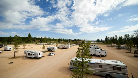 Full Hookup RV Site (Pull-through) — image 1 of 1