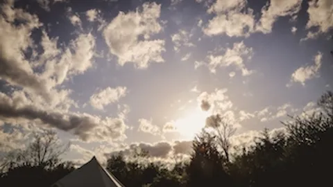Aster Camp — image 2 of 18
