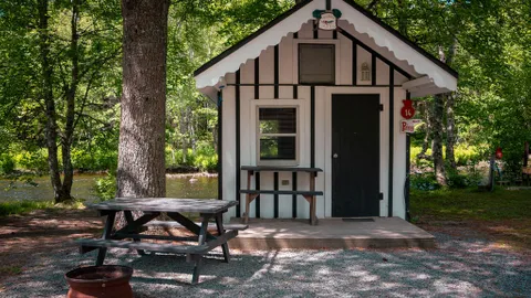 Tiny Cabin — image 1 of 15
