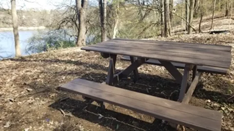 Lakeside Tent Site — image 2 of 6