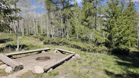 Cabin 10 (Sleeps 4) — image 13 of 13