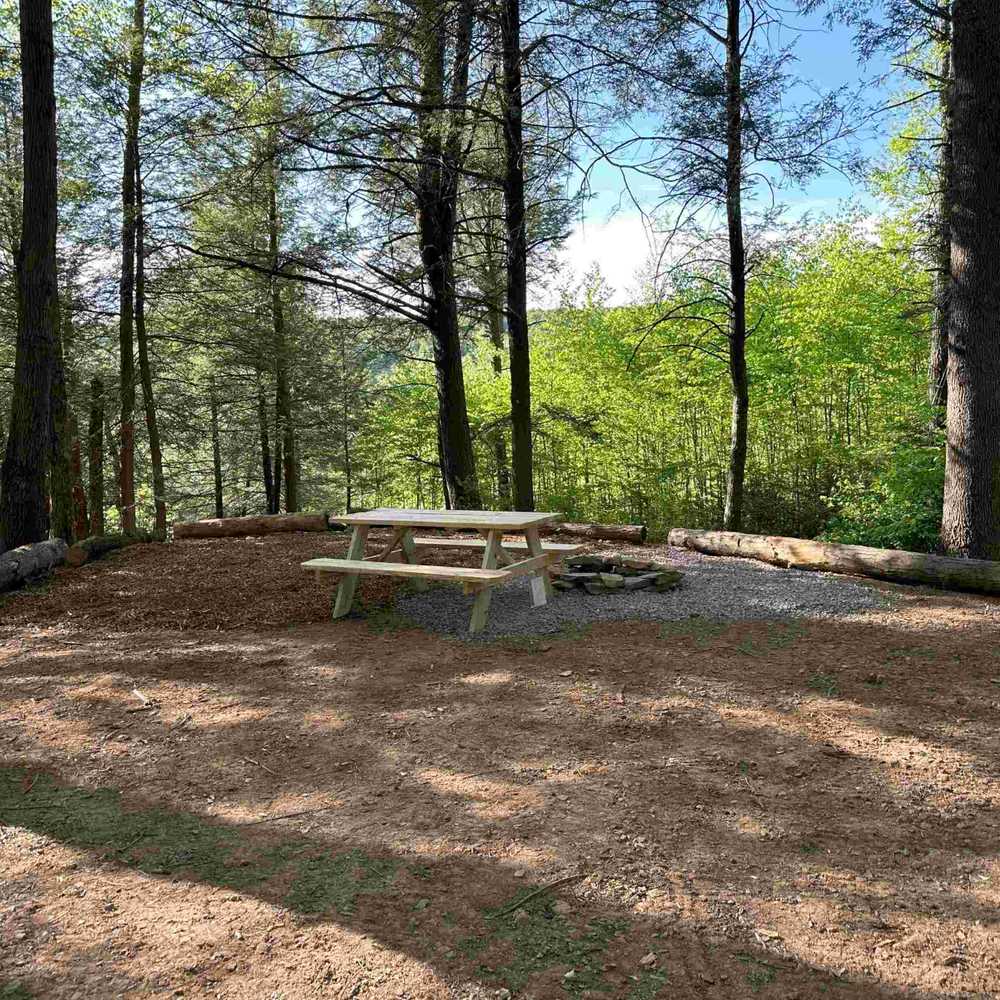 Sleepy Hollow Campground - Photo 4